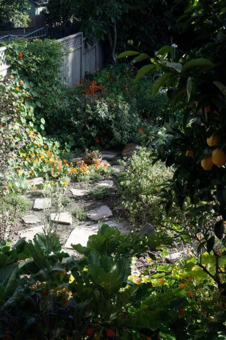 Beautiful, Historic Family Home Near Lake Merritt 奥克兰 外观 照片