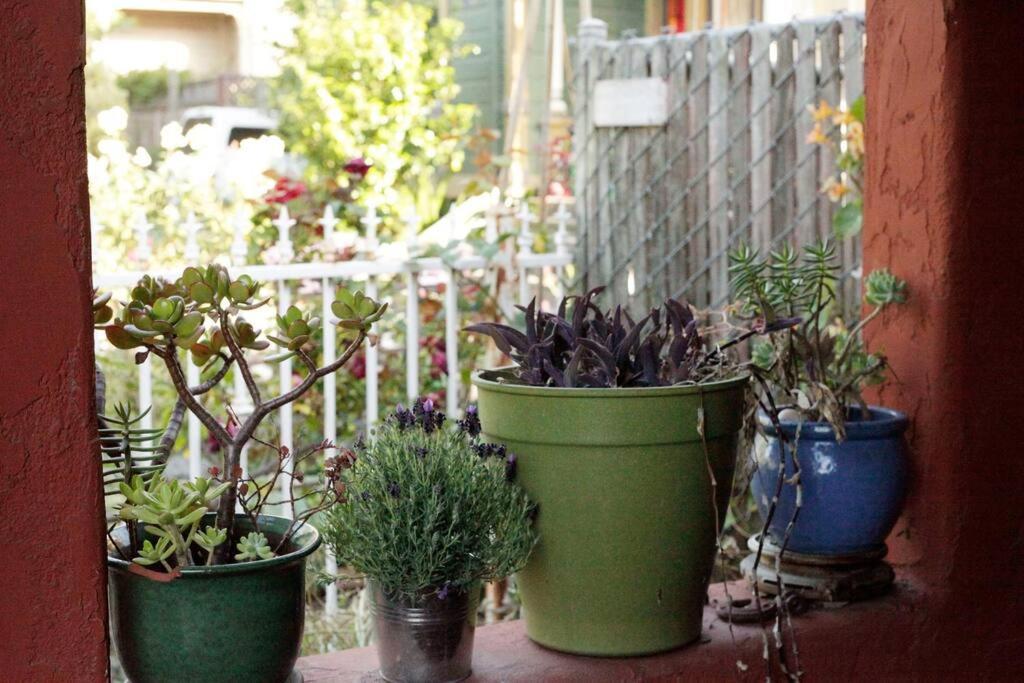 Beautiful, Historic Family Home Near Lake Merritt 奥克兰 外观 照片